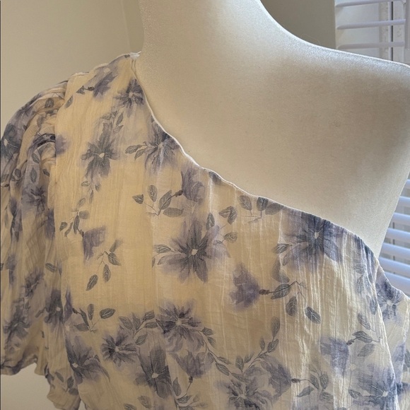 ARULA. Floral One-Shoulder Dress.  SIZE.  1X - Picture 3 of 13